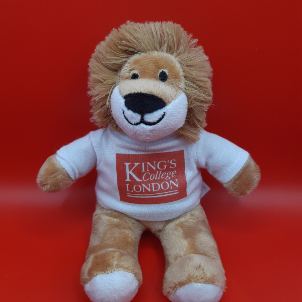 King's College London Mini Reggie