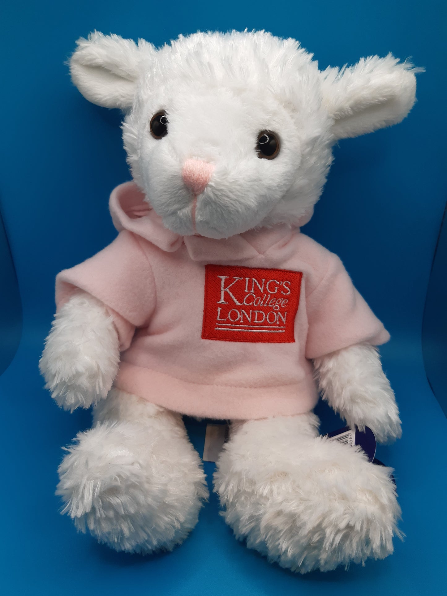 King's College London Larry Lamb Soft Toy
